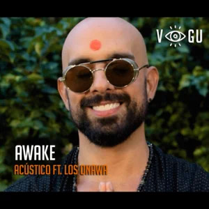 Álbum Awake de Robert Vogu