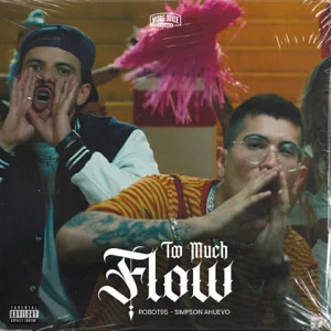Álbum Too Much Flow de Robot 95