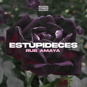 Álbum Estupideces de Rub Amaya