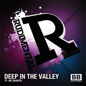Álbum Deep In The Valley de Rudimental