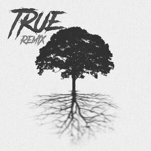 Álbum True (Remix) de Rusherking