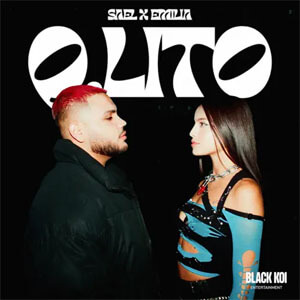 Álbum Q-Lito de Sael