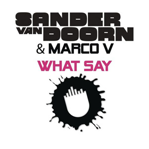 Álbum What Say de Sander Van Doorn