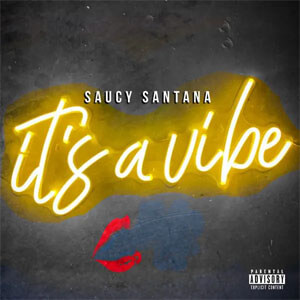Álbum It's a Vibe de Saucy Santana