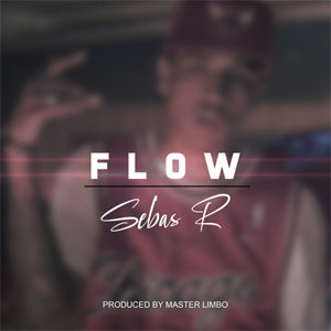 Álbum Flow de Sebas R