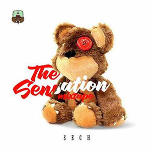 Álbum The Sensation Mixtape de Sech
