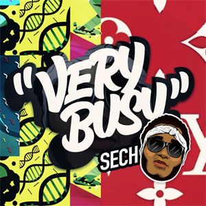 Álbum Very Busy de Sech