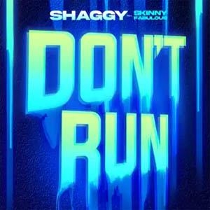 Álbum Don't Run  de Shaggy