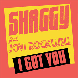 Álbum I Got You  de Shaggy