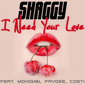 Álbum I Need Your Love de Shaggy
