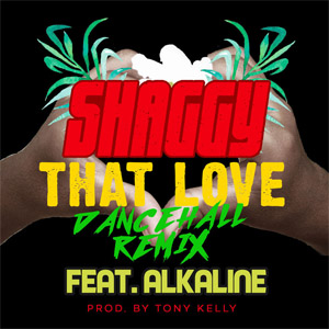 Álbum That Love (Dancehall Remix) de Shaggy