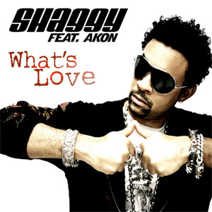 Álbum What's Love de Shaggy