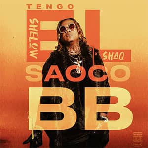 Álbum Tengo El Saoco BB de Shelow Shaq