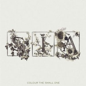 Álbum Colour The Small One de Sia