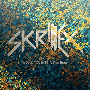 Álbum Would You Ever de Skrillex