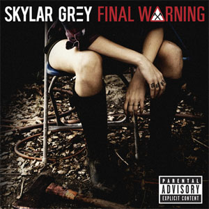 Álbum Final Warning de Skylar Grey