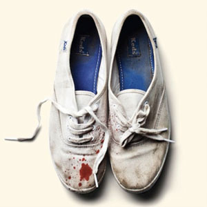 Álbum Reign Of Terror de Sleigh Bells