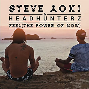 Álbum Feel  de Steve Aoki