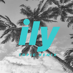 Álbum Ily (I Love You Baby) (Topic Remix) de Surf Mesa