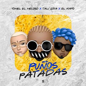 Álbum Puños Patadas de Tali Goya