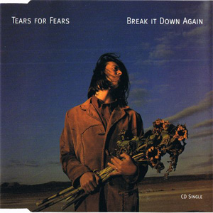 Álbum Break It Down Again de Tears for Fears