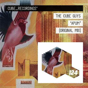 Álbum Apum  de The Cube Guys