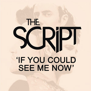 Álbum If You Could See Me Now de The Script