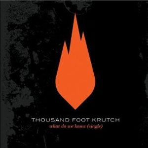 Álbum What Do We Know de Thousand Foot Krutch