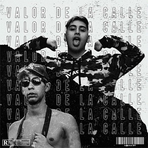 Álbum Valor de la Calle de Tiago PZK