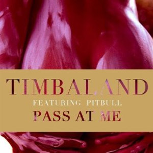 Álbum Pass At Me de Timbaland