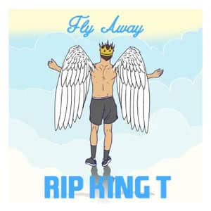 Álbum Fly Away (RIP King T) de Tones And I