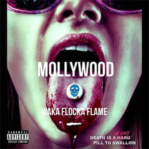 Álbum Mollywood de Waka Flocka Flame