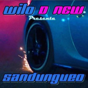 Álbum Sandungueo de Wilo D' New