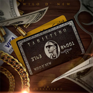 Álbum Tarjetero de Wilo D' New
