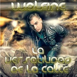 Álbum La Versatilidad De La Calle de Wolfine