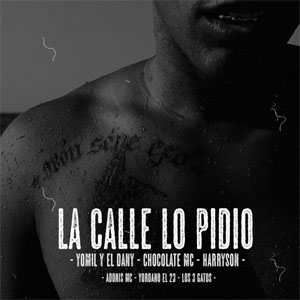 Álbum La Calle Lo Pidio de Yomil y El Dany