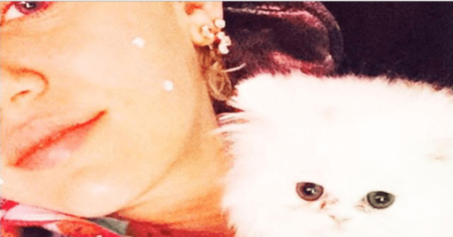 El gato de Miley Cyrus se la come a besos ¡Hermoso! | VIDEO 