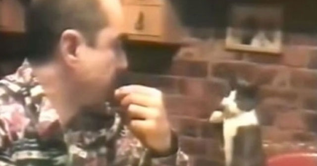 Gato pide comida a su amo sordomudo [+Video]