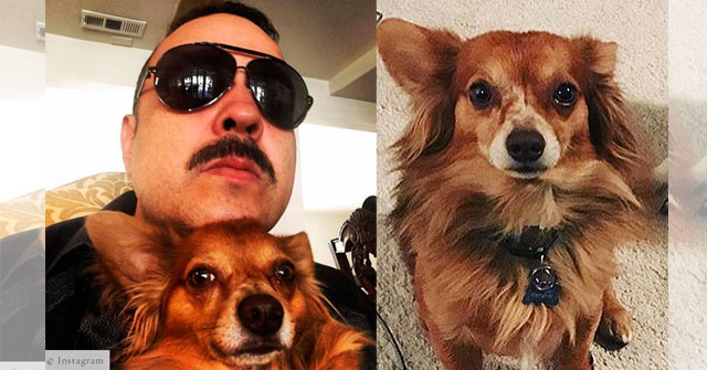 Pepe Aguilar expresa tristeza y molestia al recibir su mascota sin vida de la aerolínea Volaris