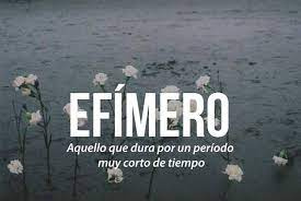 Foto de portada de vilma olivares 4007