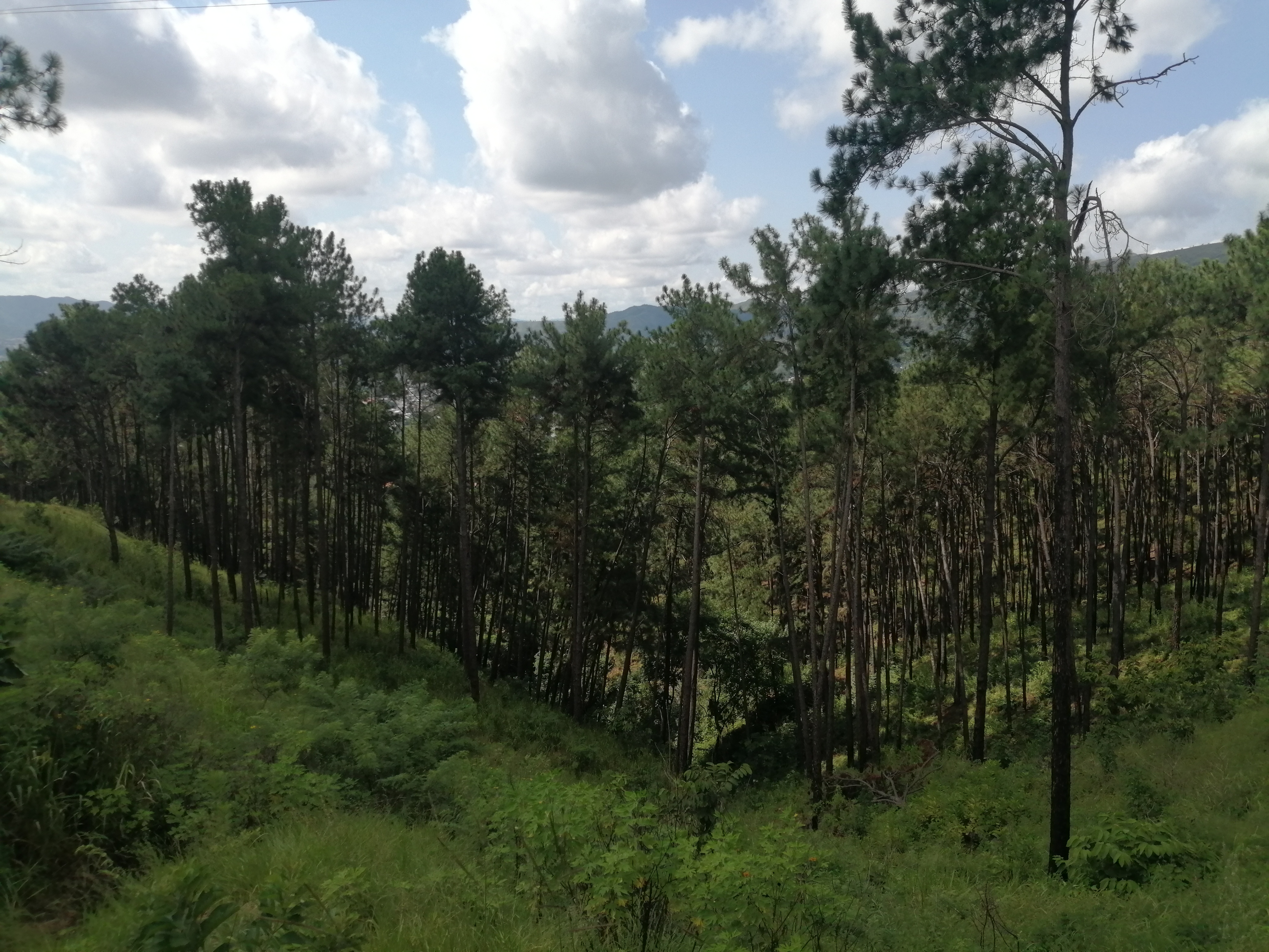 Foto de portada de dmillan dmillan 3405