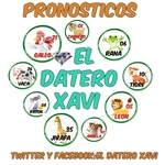 Imagen de perfil de xavier baeza