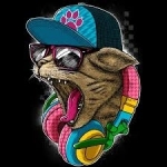 Imagen de perfil de Moises hernandez