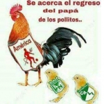 Imagen de perfil de JAIRO SALAZAR