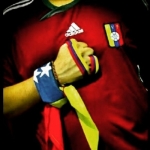 Imagen de perfil de Johan Melean