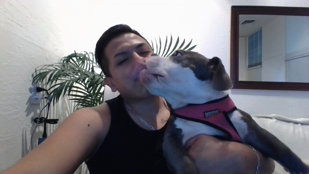 Aunque Seas un Peligro De Closed, Eres Lo Mas Bonito Que Llego A Mi Vida  ? !!! #louisvuitton #AndyOne