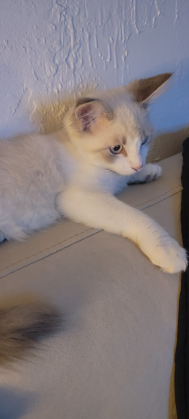 Foto de publicacion de Manuel Treto 120