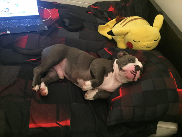 Que  Puedo Decir , Te Amo … ? #louisvuitton 