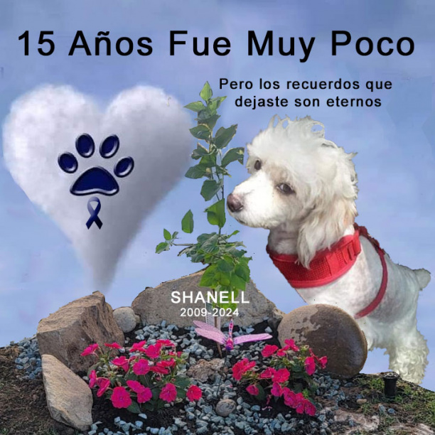 Vuela alto mi reina ? ? ?