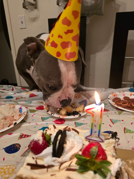 My Son Louis Vuitton ?, siempre seras mi bebé aunque sigas creciendo ?